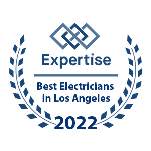 Expertise Best Electrician Award